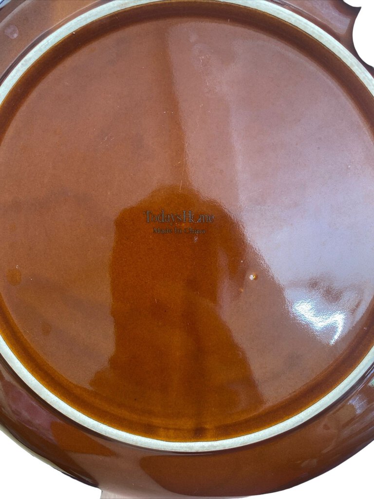 Todays Home Brown Dish Set 4 plates two coffee cups