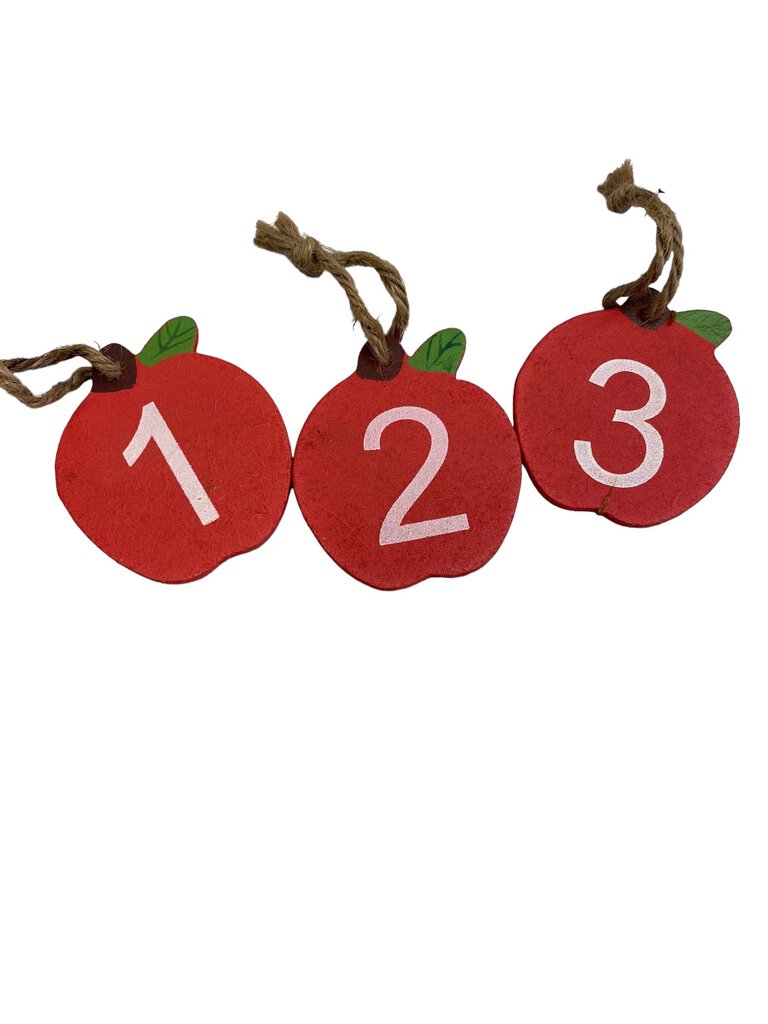 The Teachers Rules Please Take A Number Decor Wooden Apple Cut Out