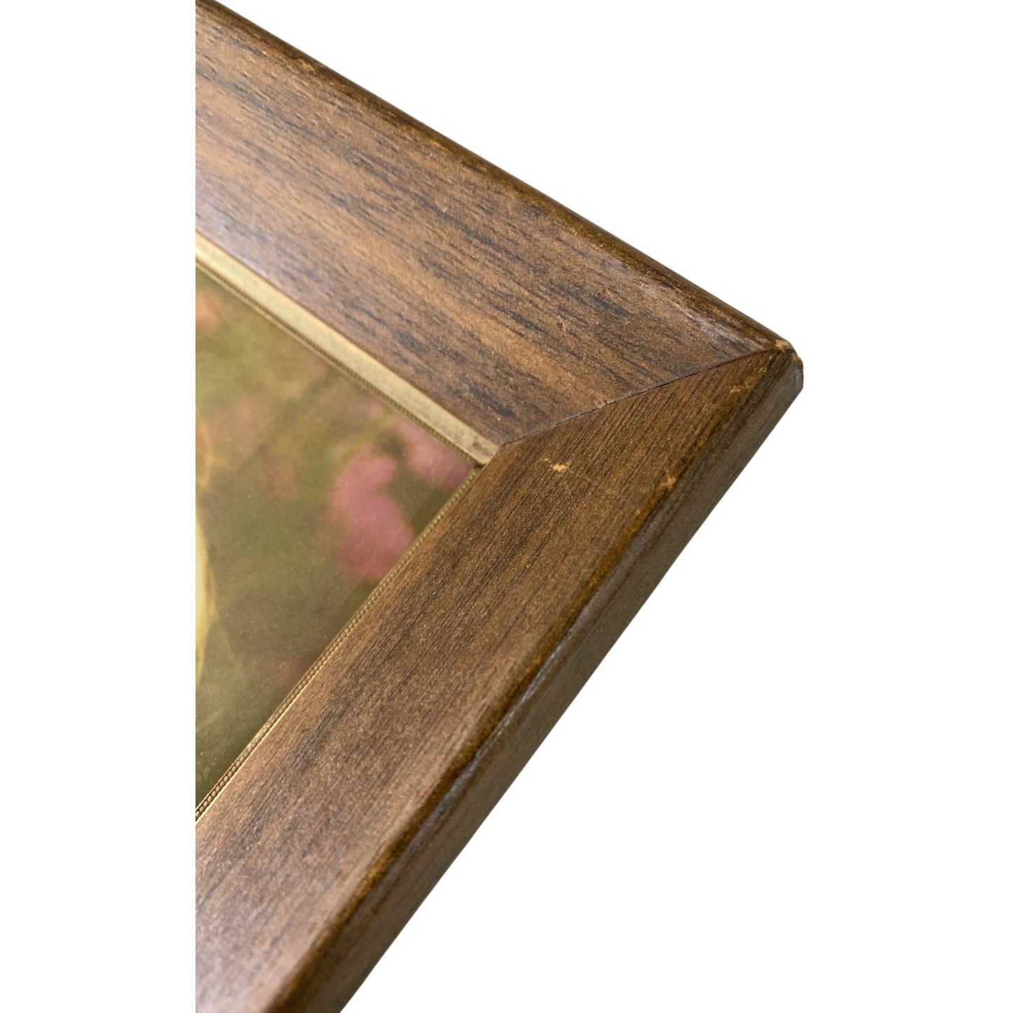 Solid Oak 8x10 Photo Frame