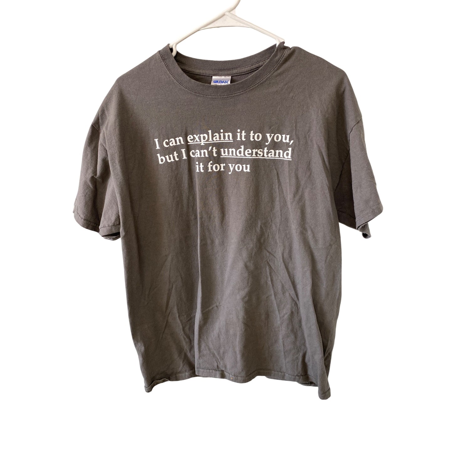 Funny Gildan Ultra Cotton Graphic T-Shirt L Gray "I Can Explain It To You But Cant Understand" size large
