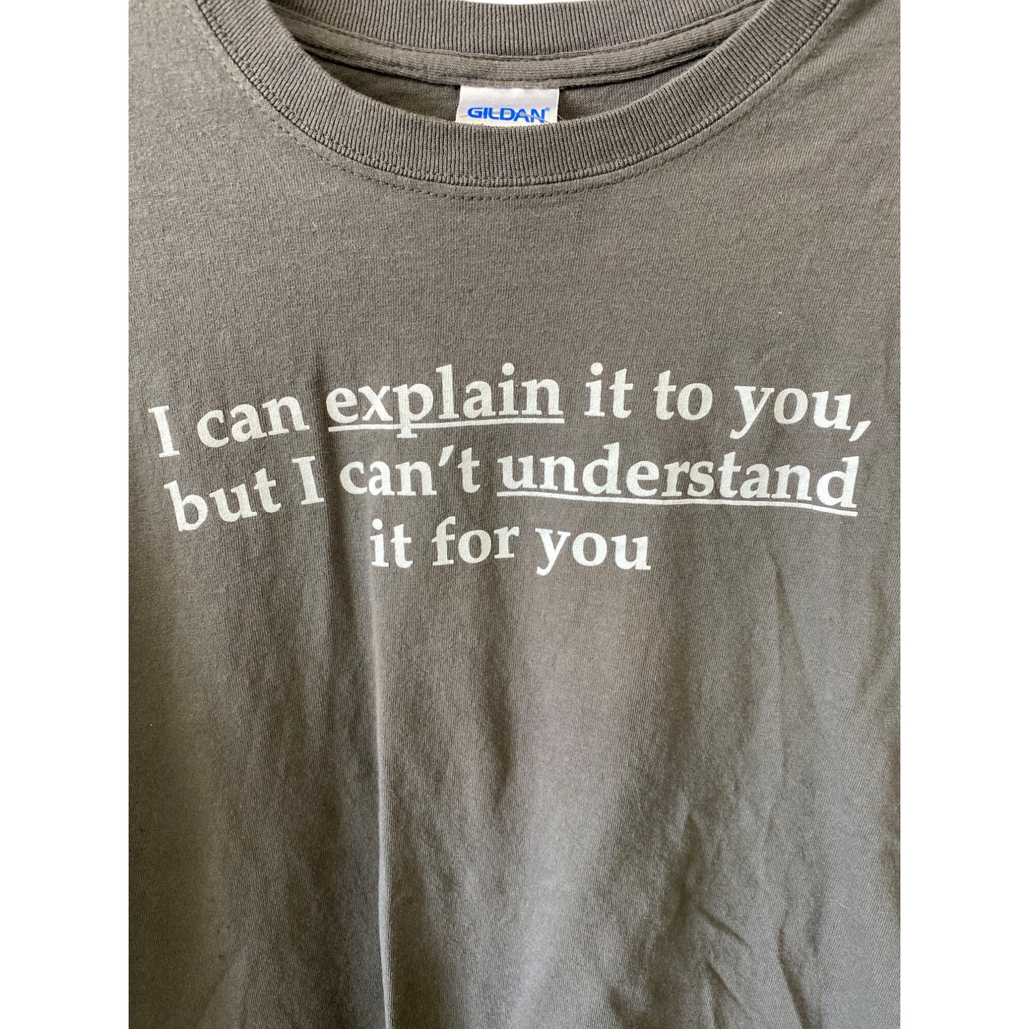 Funny Gildan Ultra Cotton Graphic T-Shirt L Gray "I Can Explain It To You But Cant Understand" size large
