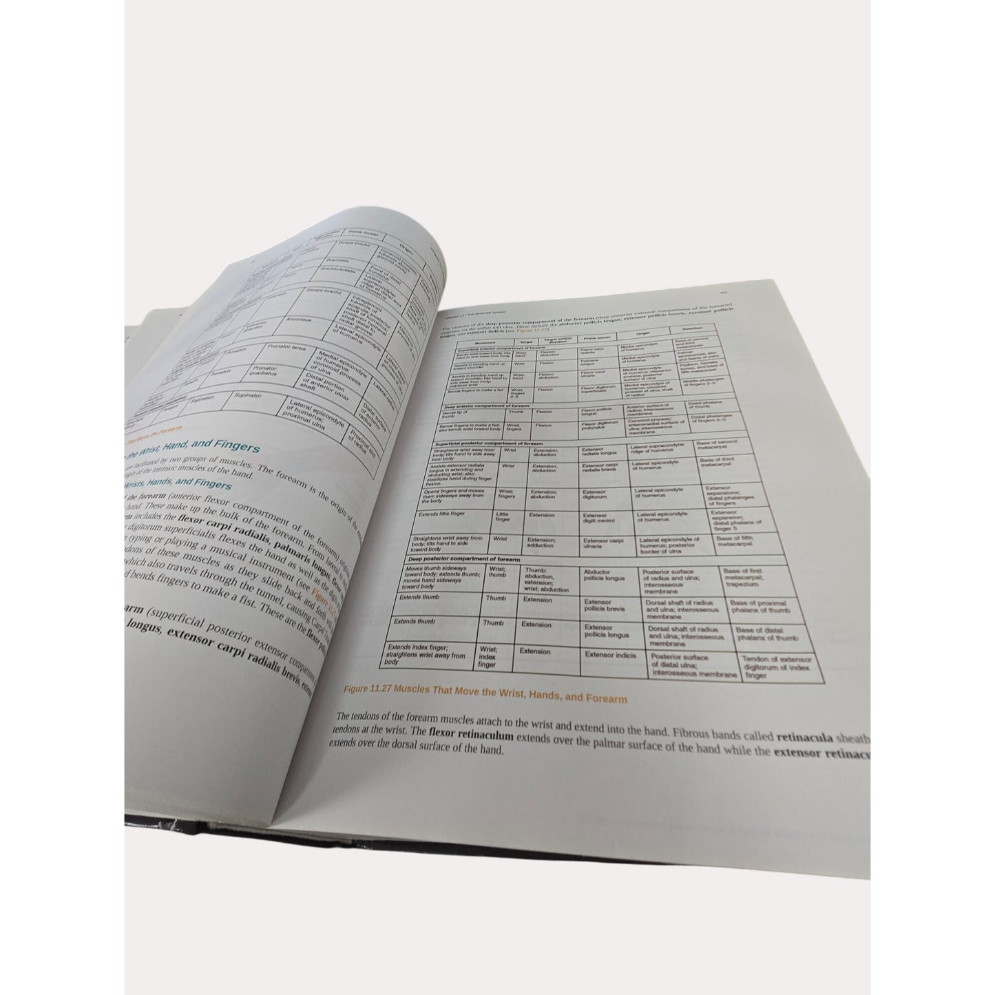 Anatomy & Physiology Hardcover By OpenStax Textbook With Illustrations & Diagrams