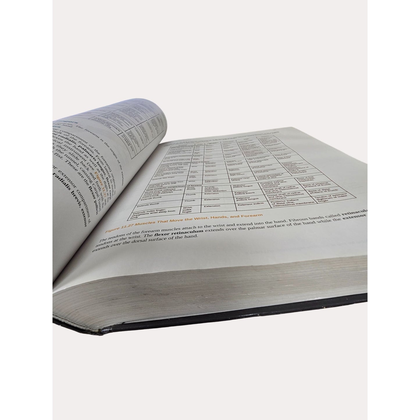 Anatomy & Physiology Hardcover By OpenStax Textbook With Illustrations & Diagrams