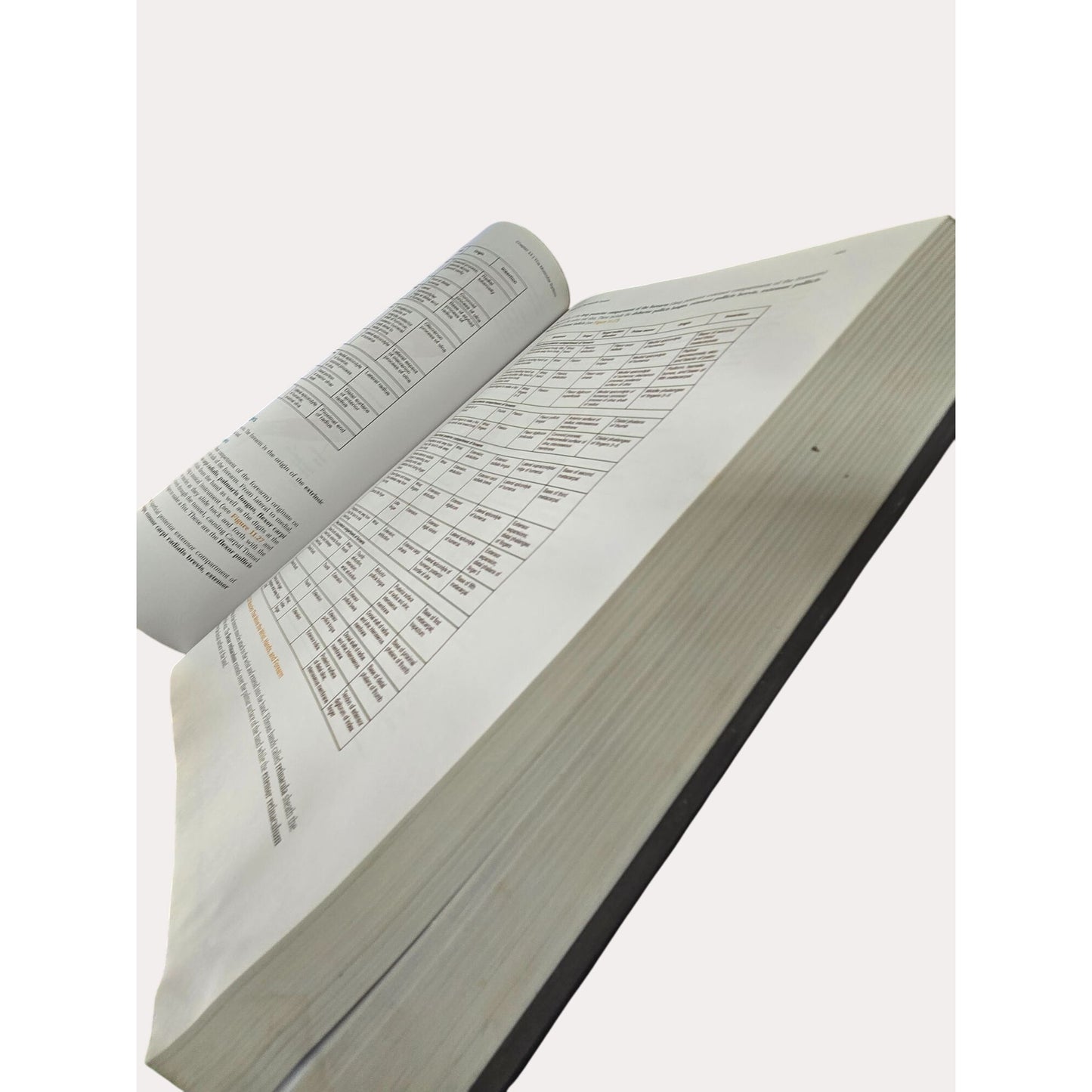 Anatomy & Physiology Hardcover By OpenStax Textbook With Illustrations & Diagrams