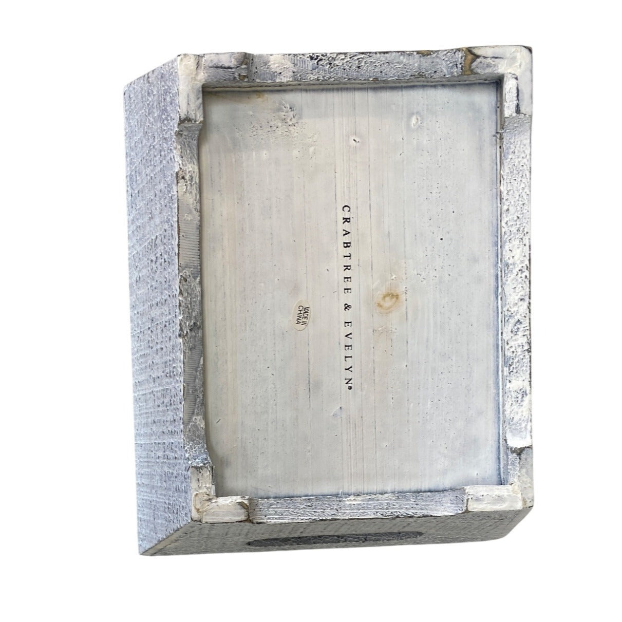 Large Natural Conch Shell