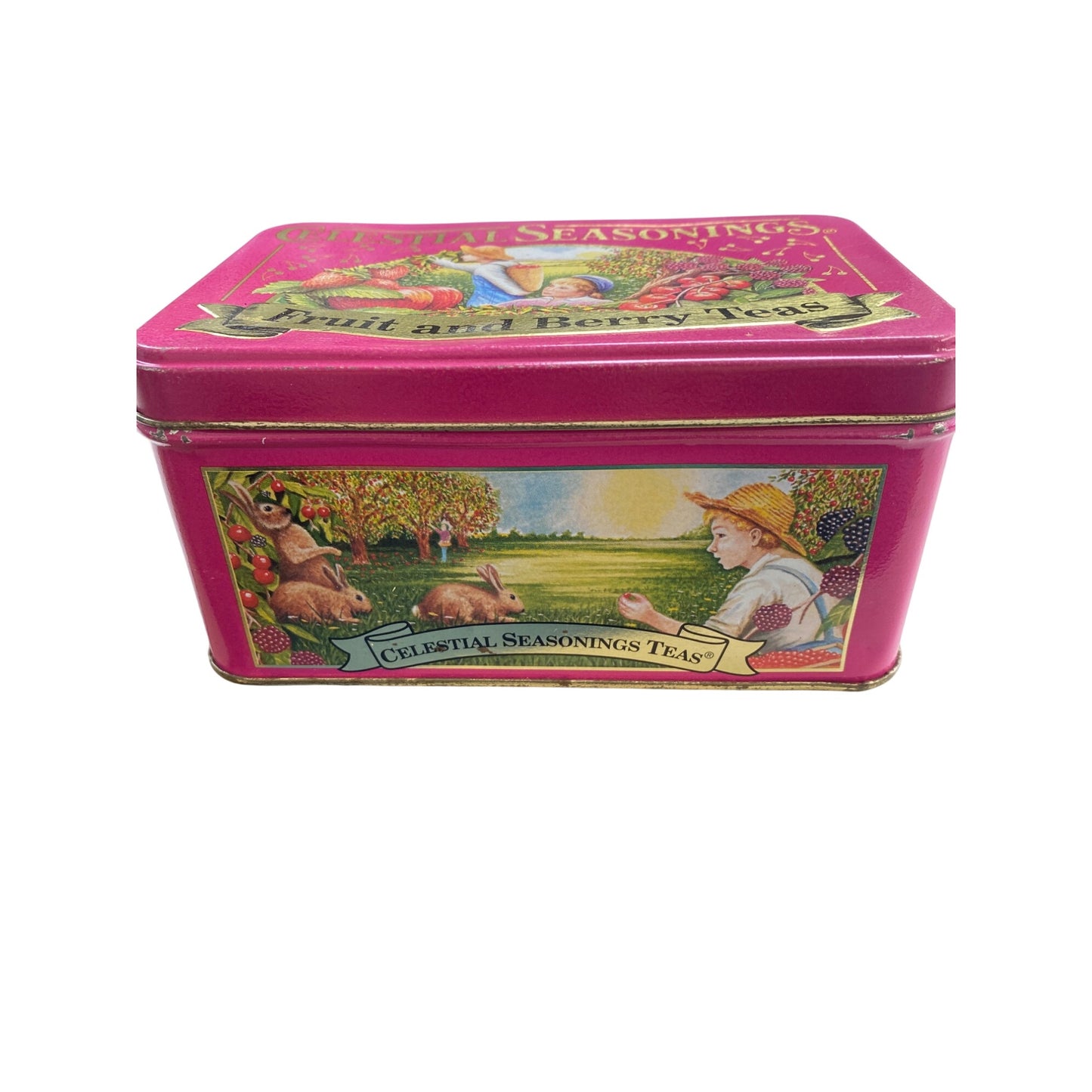 Celestial Seasonings Fruit & Berry Teas Pink Metal Tin Box Decorative Storage