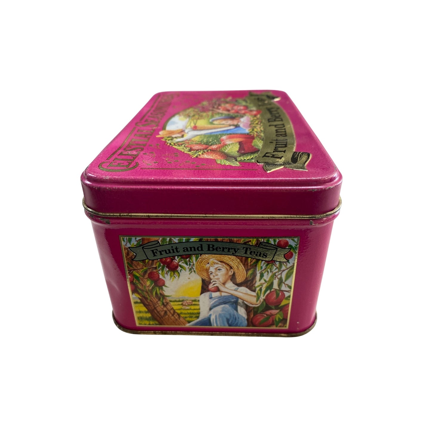 Celestial Seasonings Fruit & Berry Teas Pink Metal Tin Box Decorative Storage