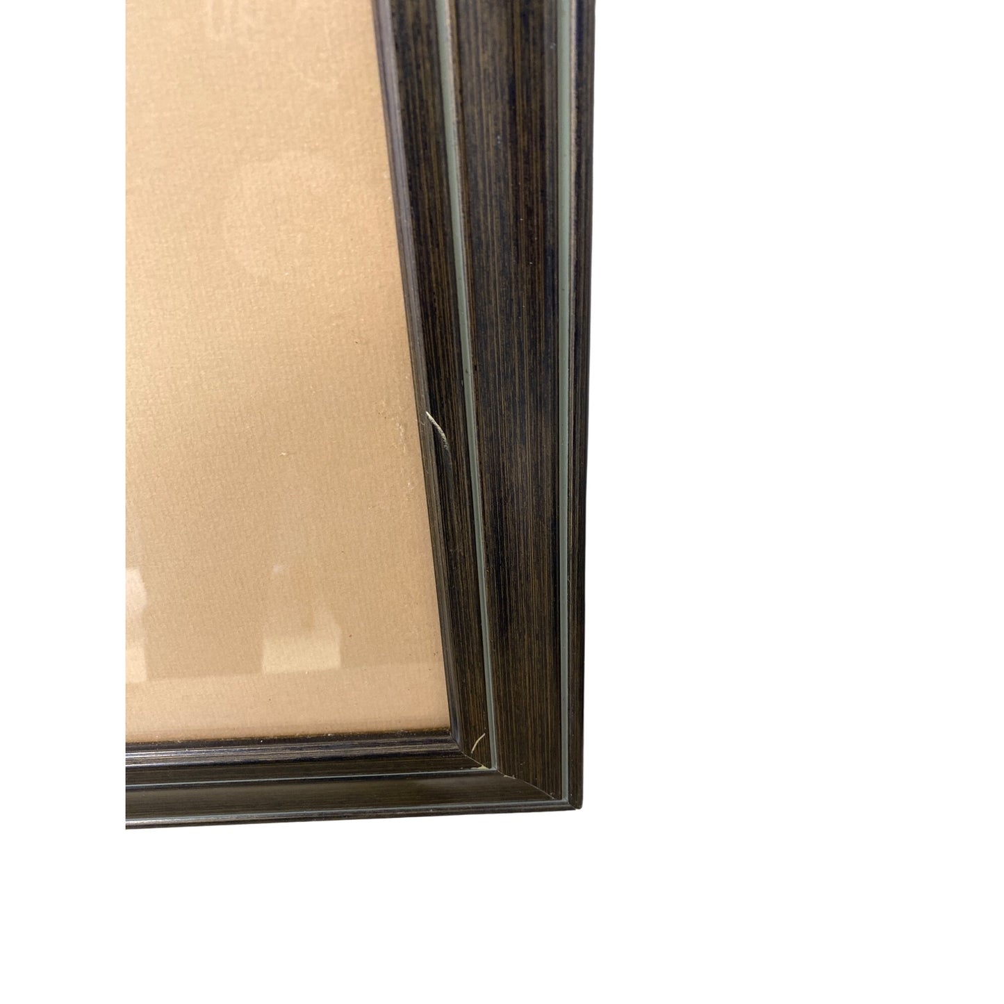 Framed Autumn Landscape Trees