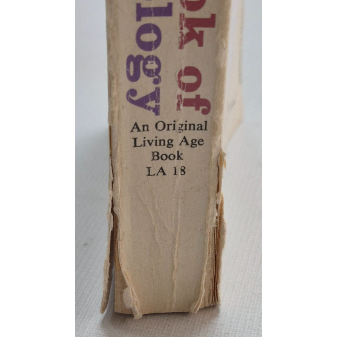 A Handbook Of Christian Theology By Meridian Books 1958 Paperback