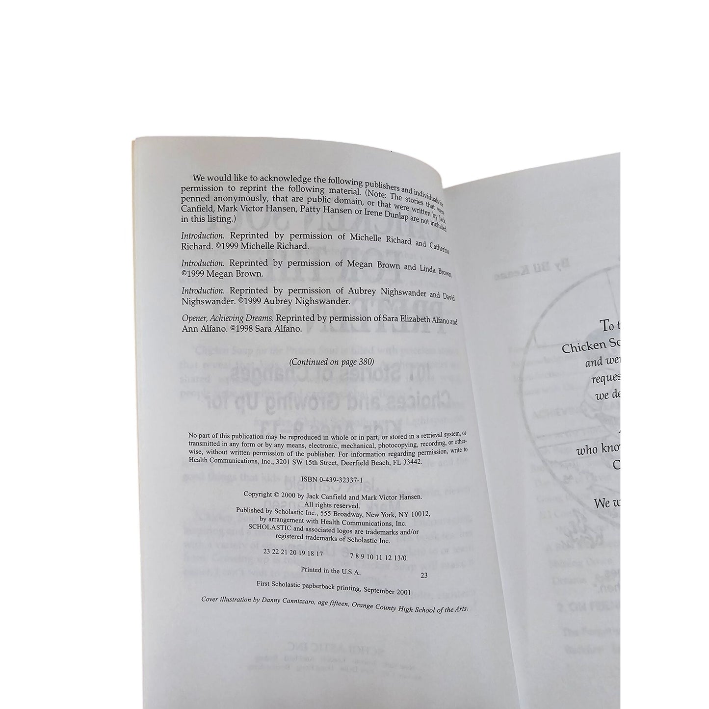 Chicken Soup For The Preteen Soul Paperback Book