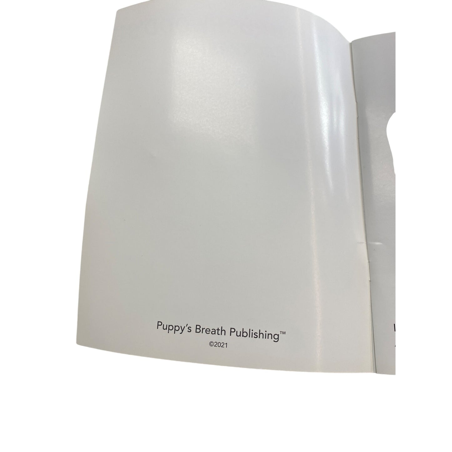 Little Brushwoods Backyard Childrens Book By Brian Garrison