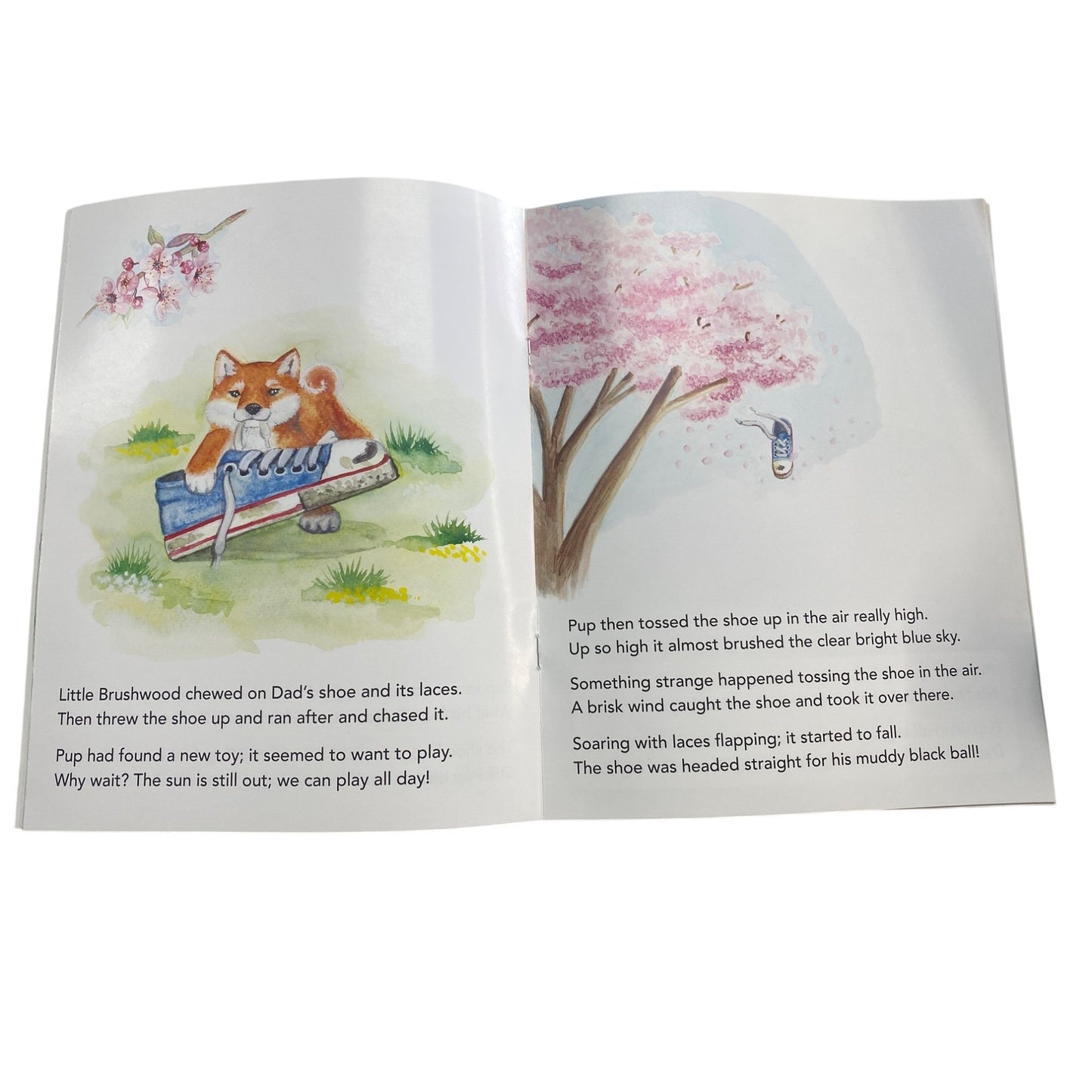 Little Brushwoods Backyard Childrens Book By Brian Garrison