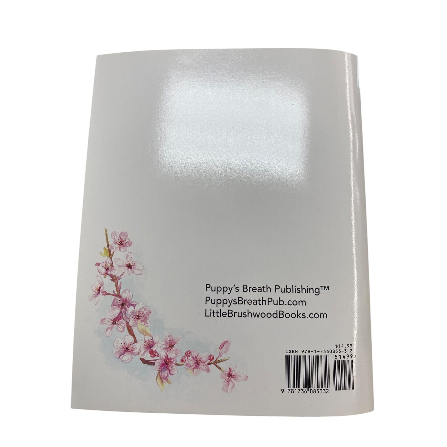 Little Brushwoods Backyard Childrens Book By Brian Garrison