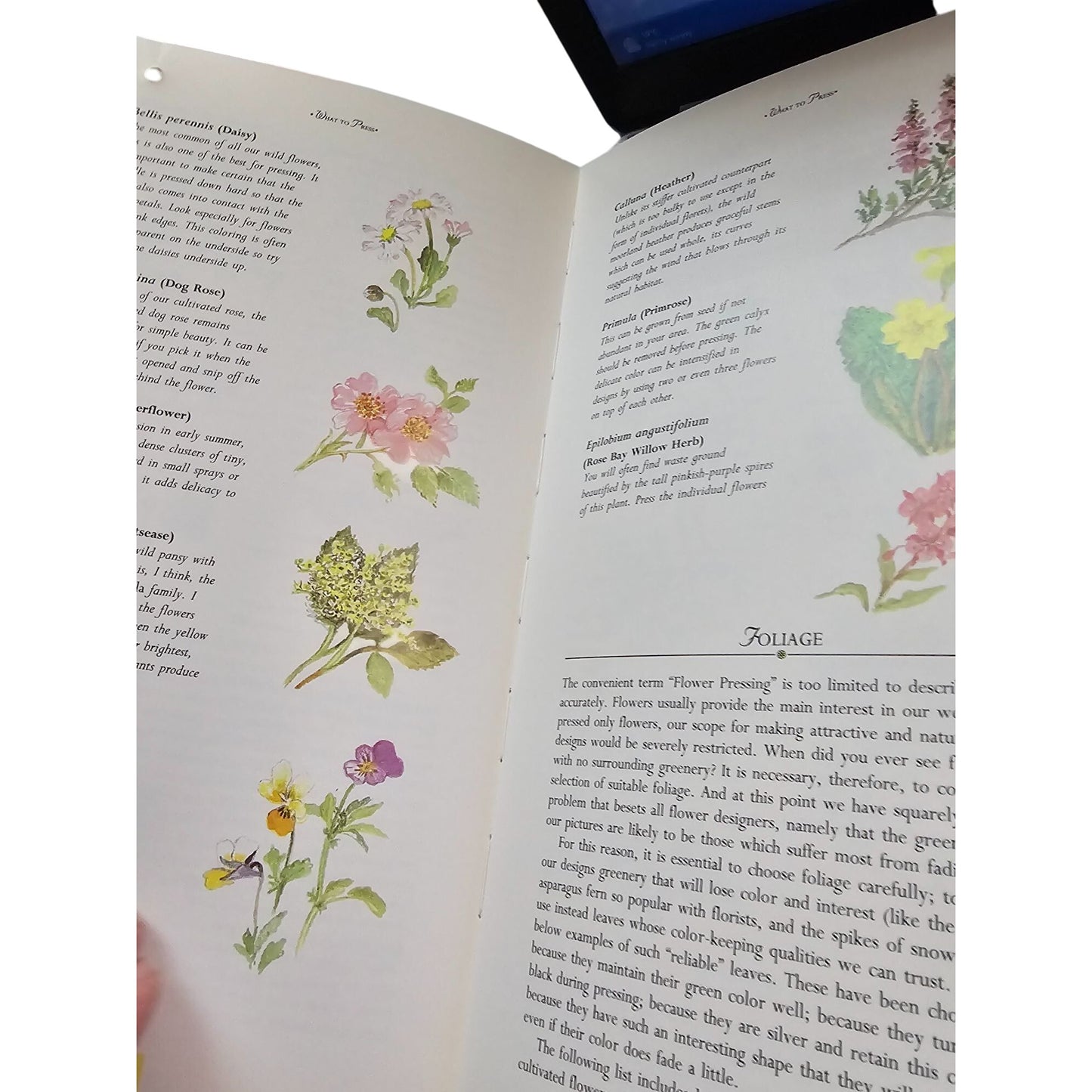 Pressed Flower Workstation Book & Kit For Beginners Ages 8+