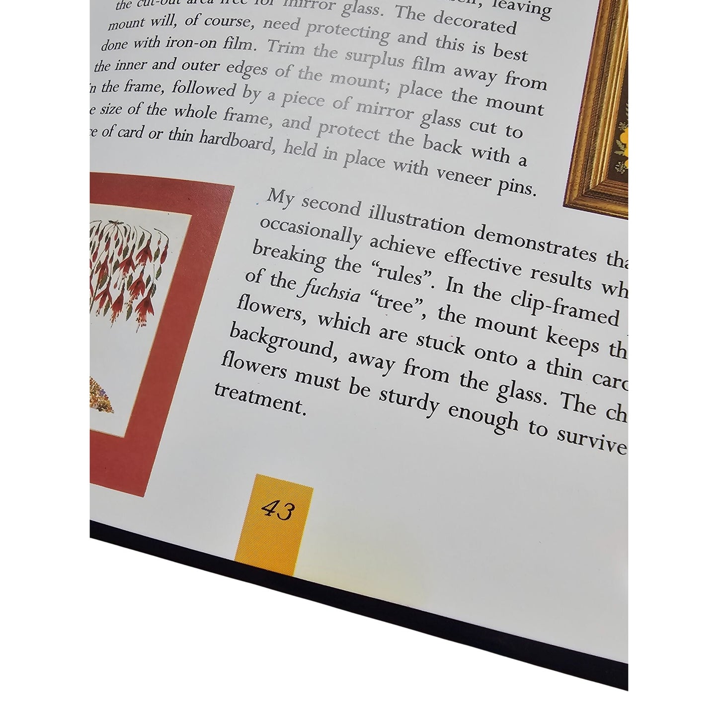 Pressed Flower Workstation Book & Kit For Beginners Ages 8+