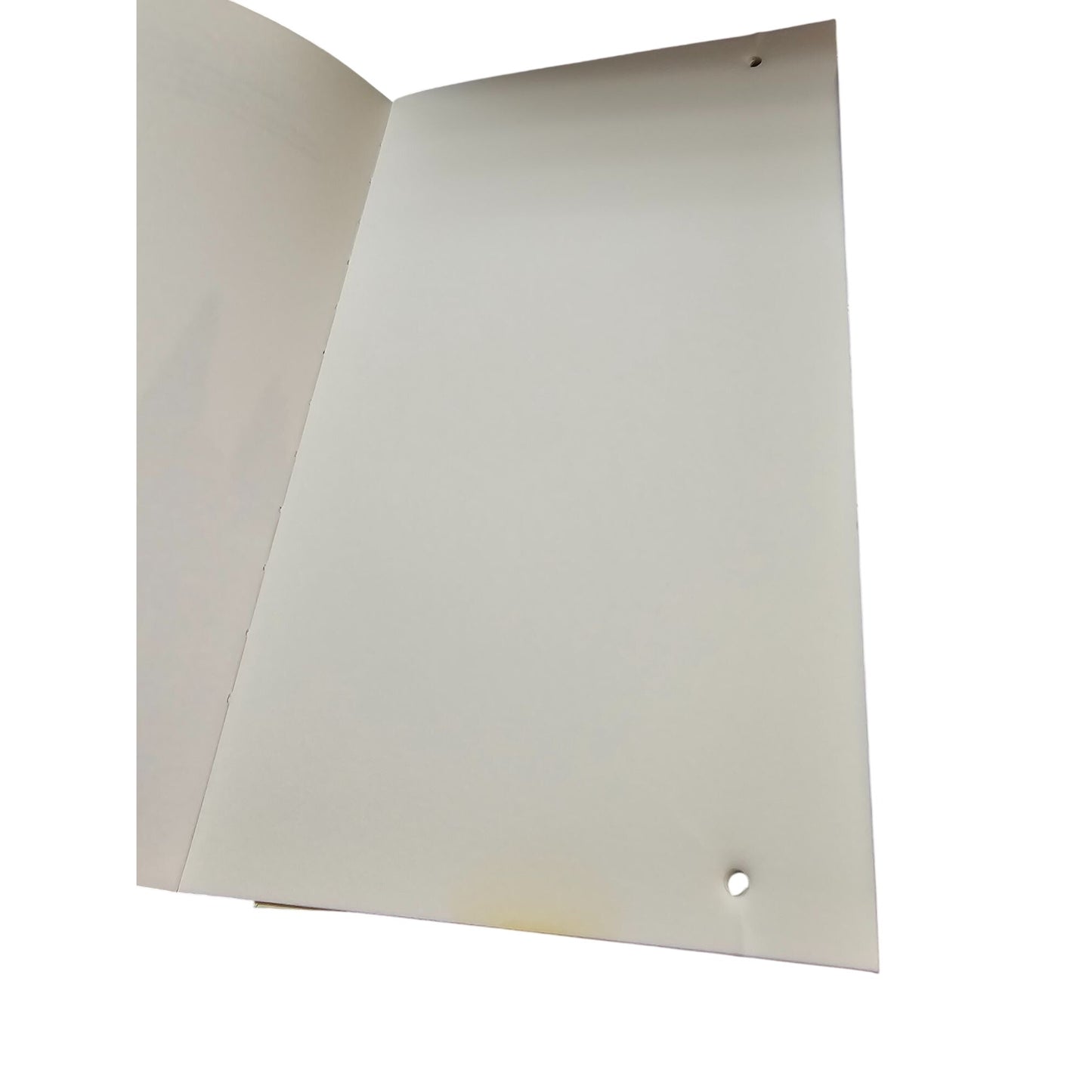 Pressed Flower Workstation Book & Kit For Beginners Ages 8+