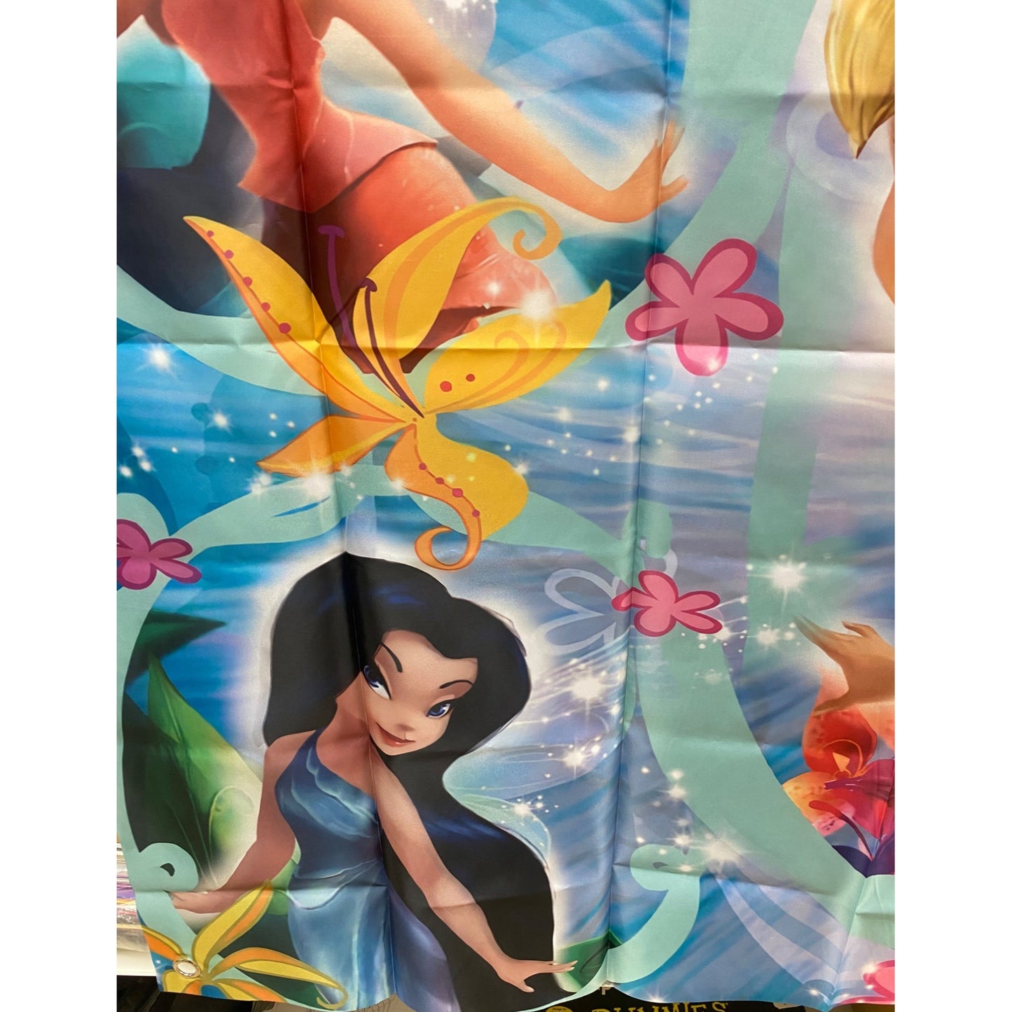 Tinkerbell Banner Backdrop 60" x 39"