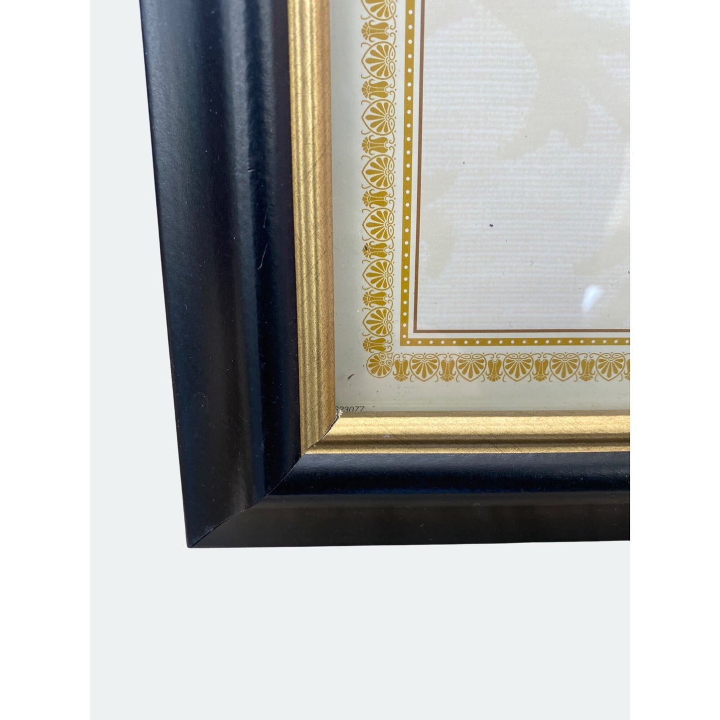 8.5x11" Black & Gold Document Frame