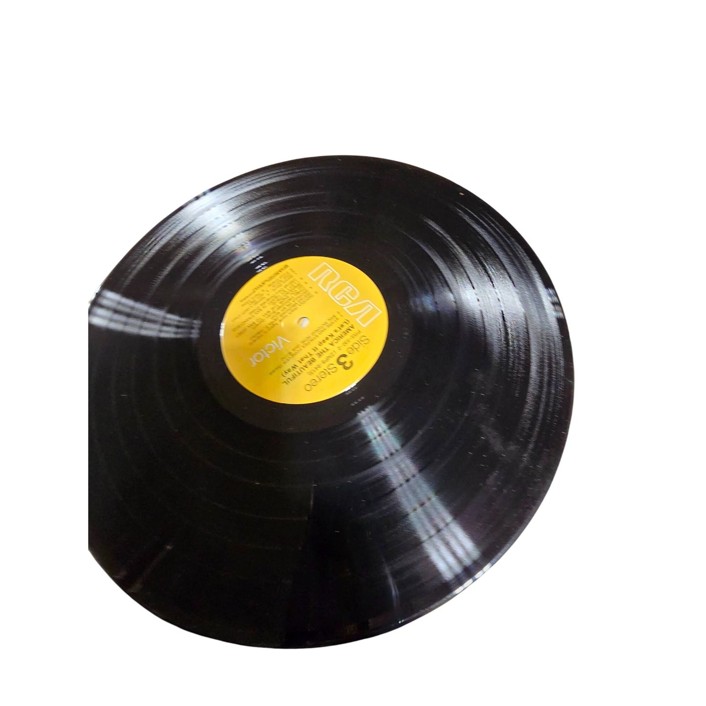 America The Beautiful LP