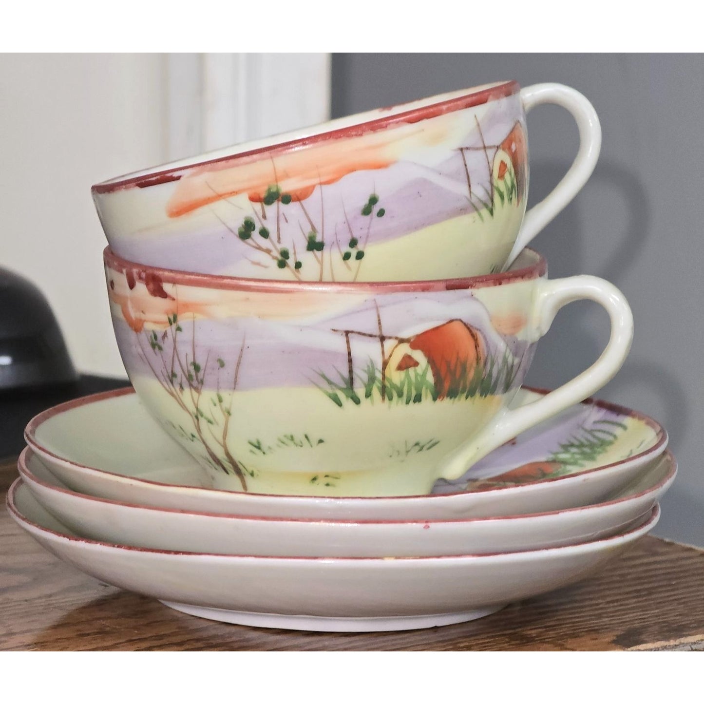 Antique Nippon Hand Painted Tea Cup & Saucer Set 2