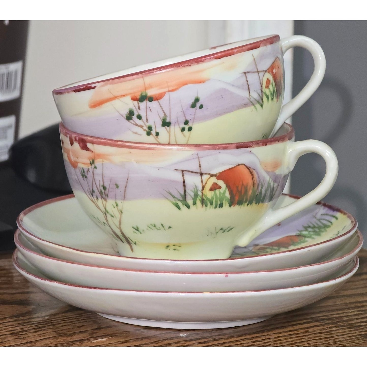 Antique Nippon Hand Painted Tea Cup & Saucer Set 2
