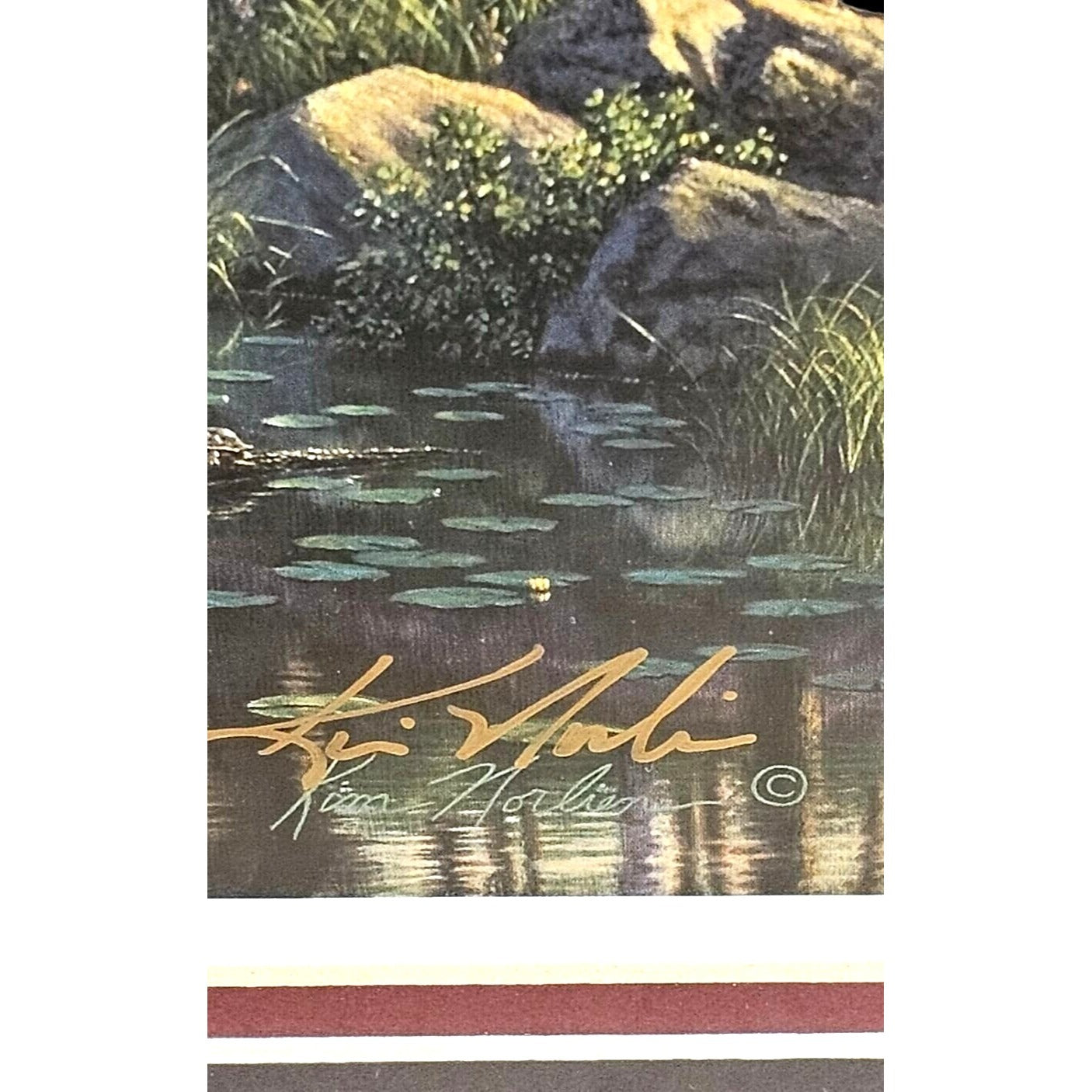 Autographed Kim Norlien "Cabin Fever"