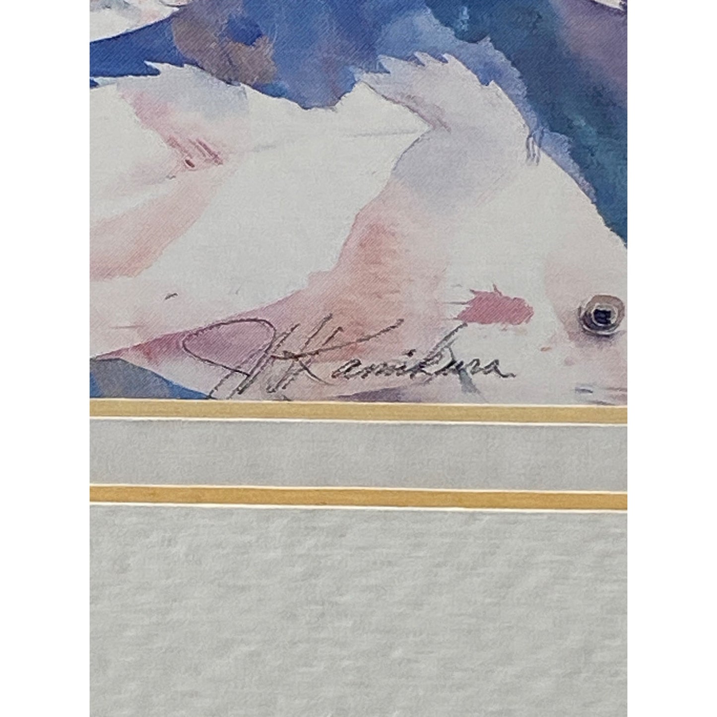 Framed Fish Watercolor Print By J.H. Kamikura 11”x9” With Light Wood Frame