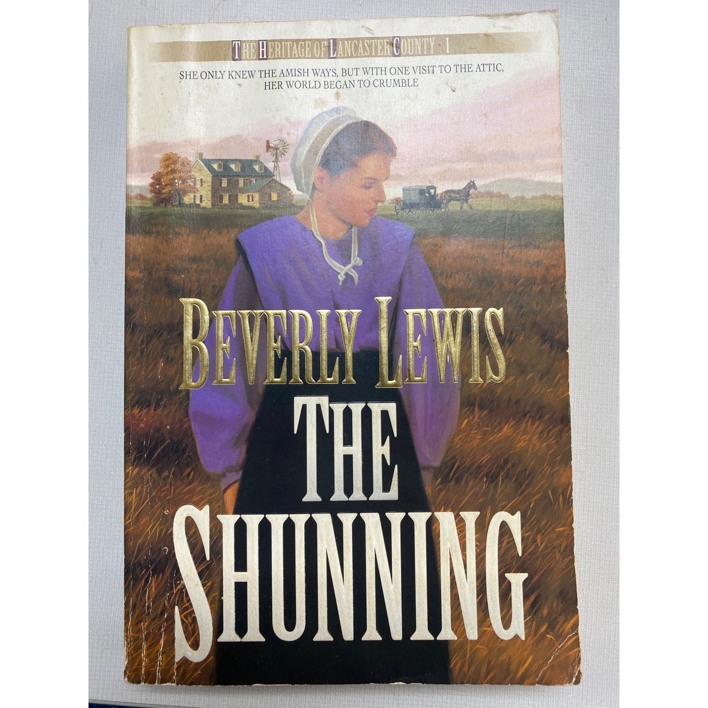 County Series Book 3 Inspirational Amish Fiction