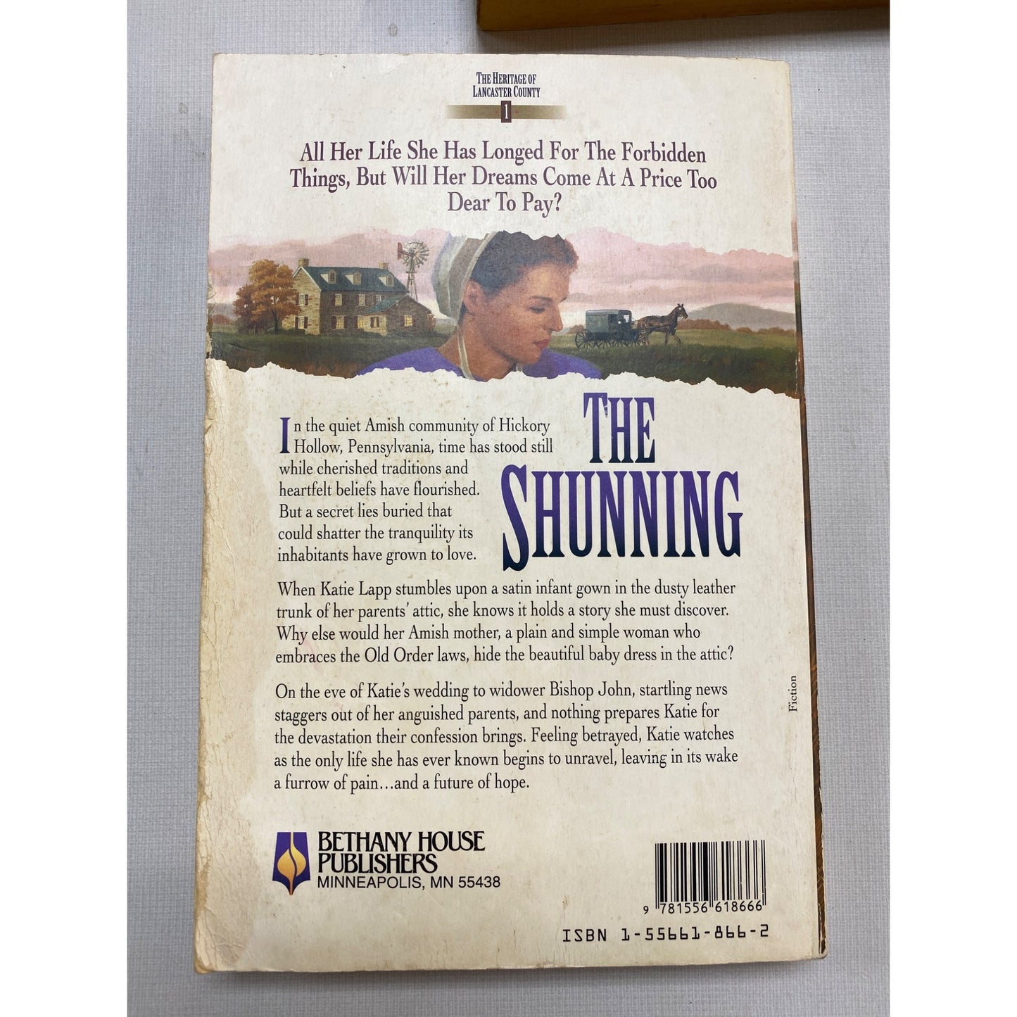 County Series Book 3 Inspirational Amish Fiction