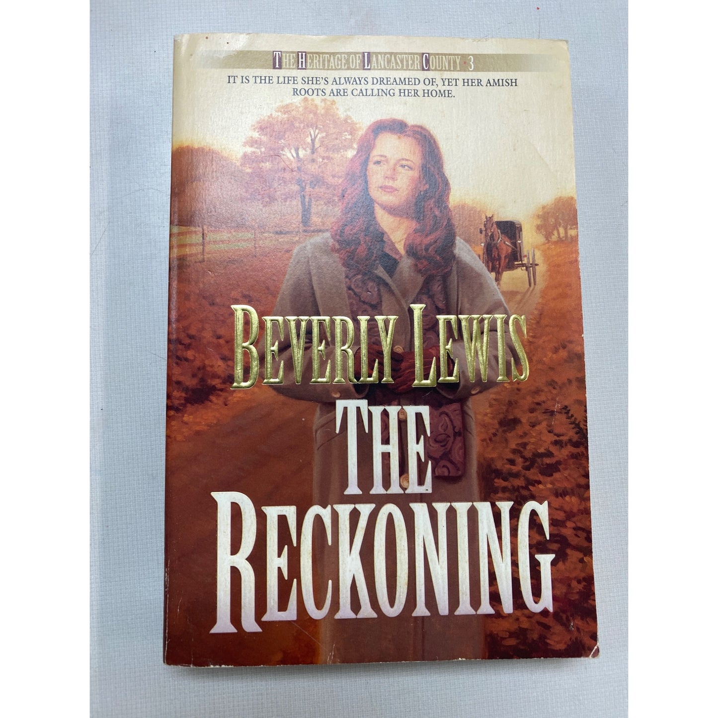 County Series Book 3 Inspirational Amish Fiction