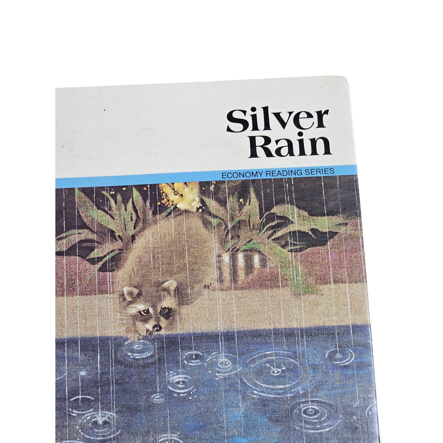 Silver Rain Economy Reading Series 1988 Level L Hardcover By McGraw-Hill