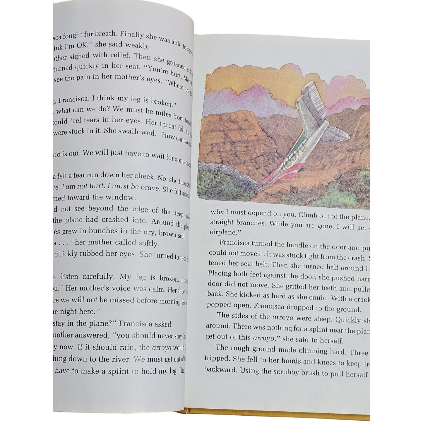 Silver Rain Economy Reading Series 1988 Level L Hardcover By McGraw-Hill