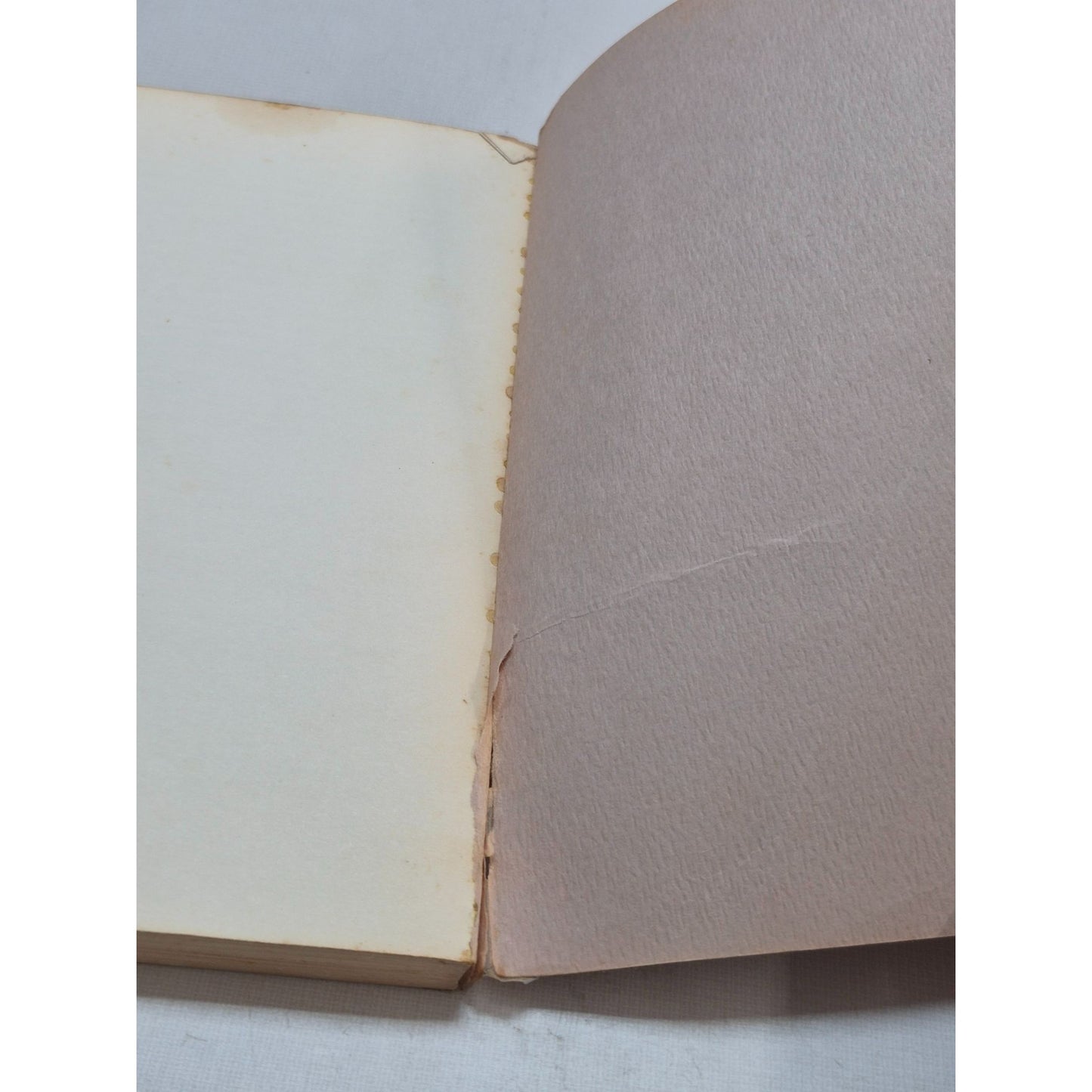 Writings & Experiences Of Our Fathers Book By C.W. Friesen 1970 Gospel Publishers