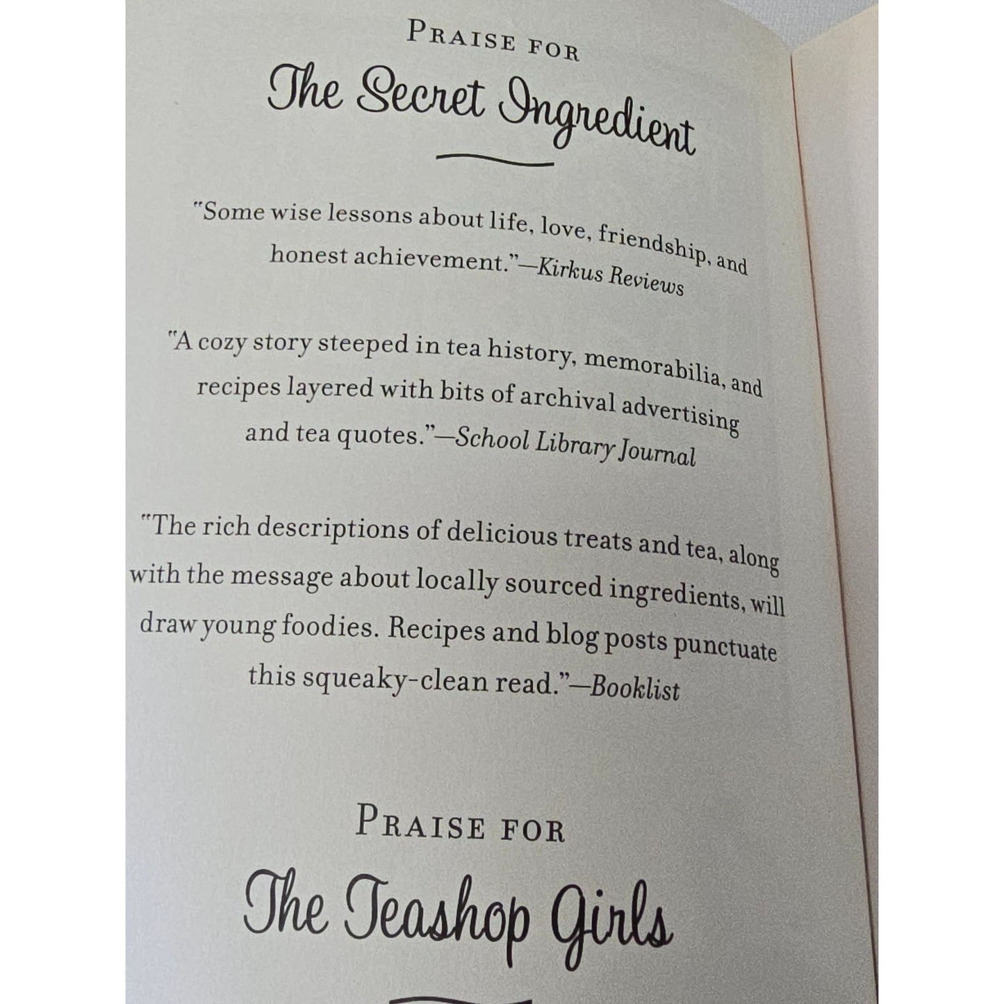 The Secret Ingredient By Laura Schaefer