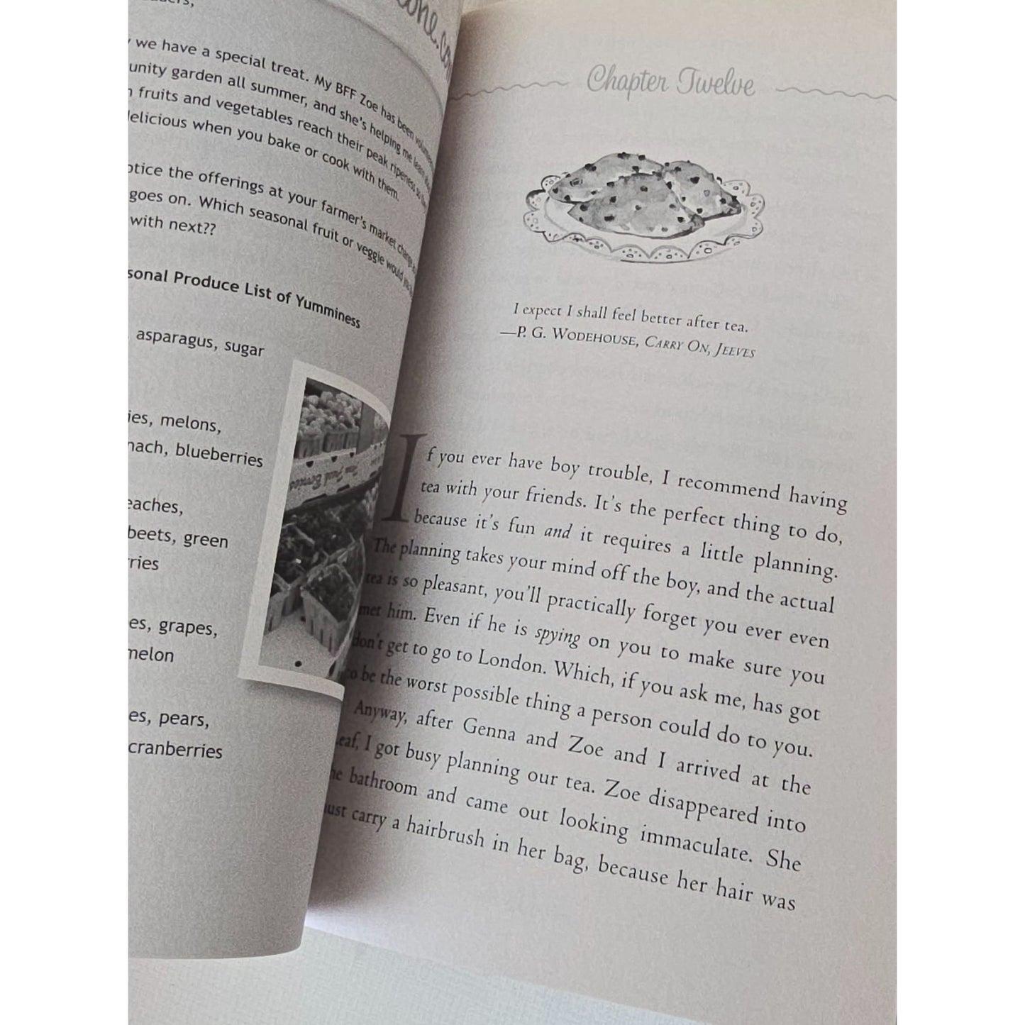 The Secret Ingredient By Laura Schaefer