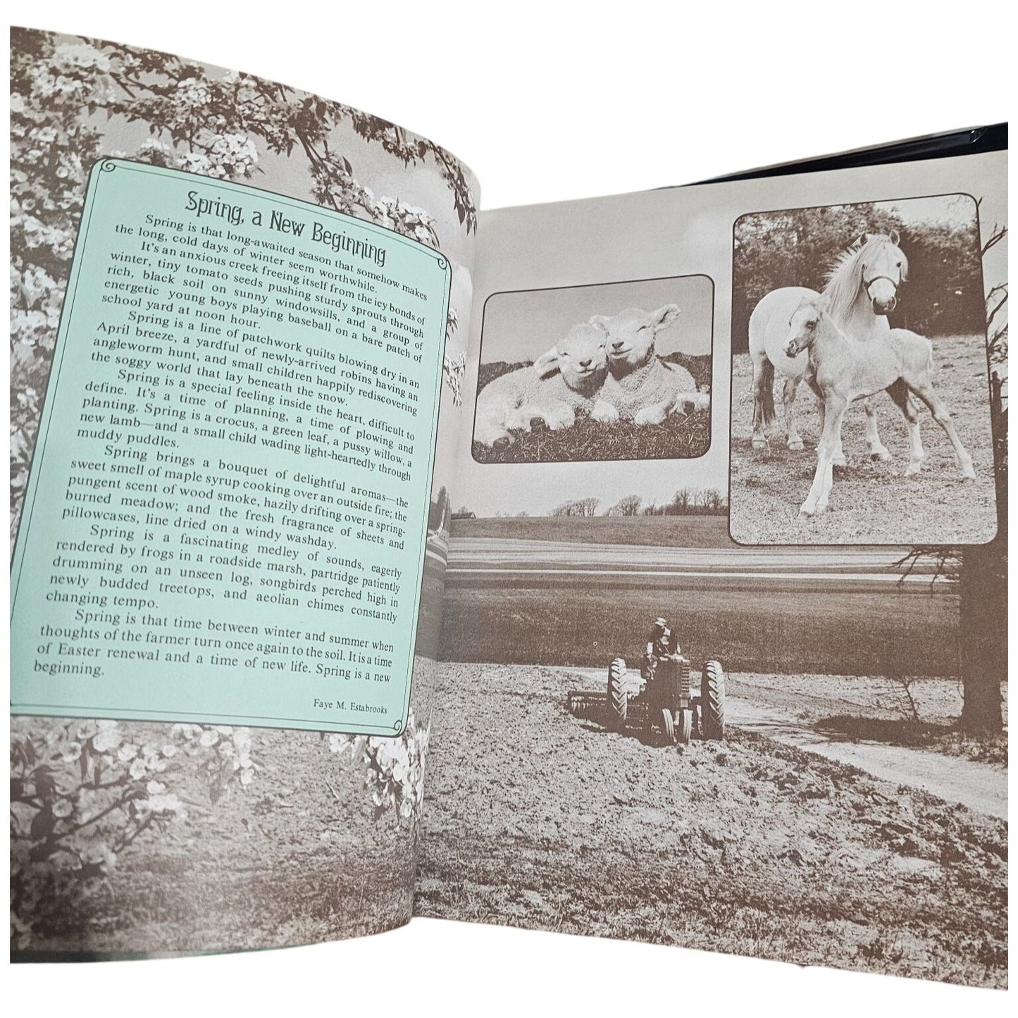 Vintage Ideals Easter Magazine 1982 Issue