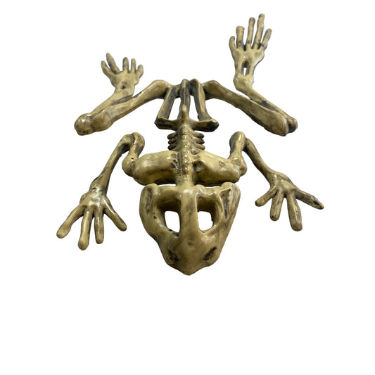 Halloween Frog Skeleton