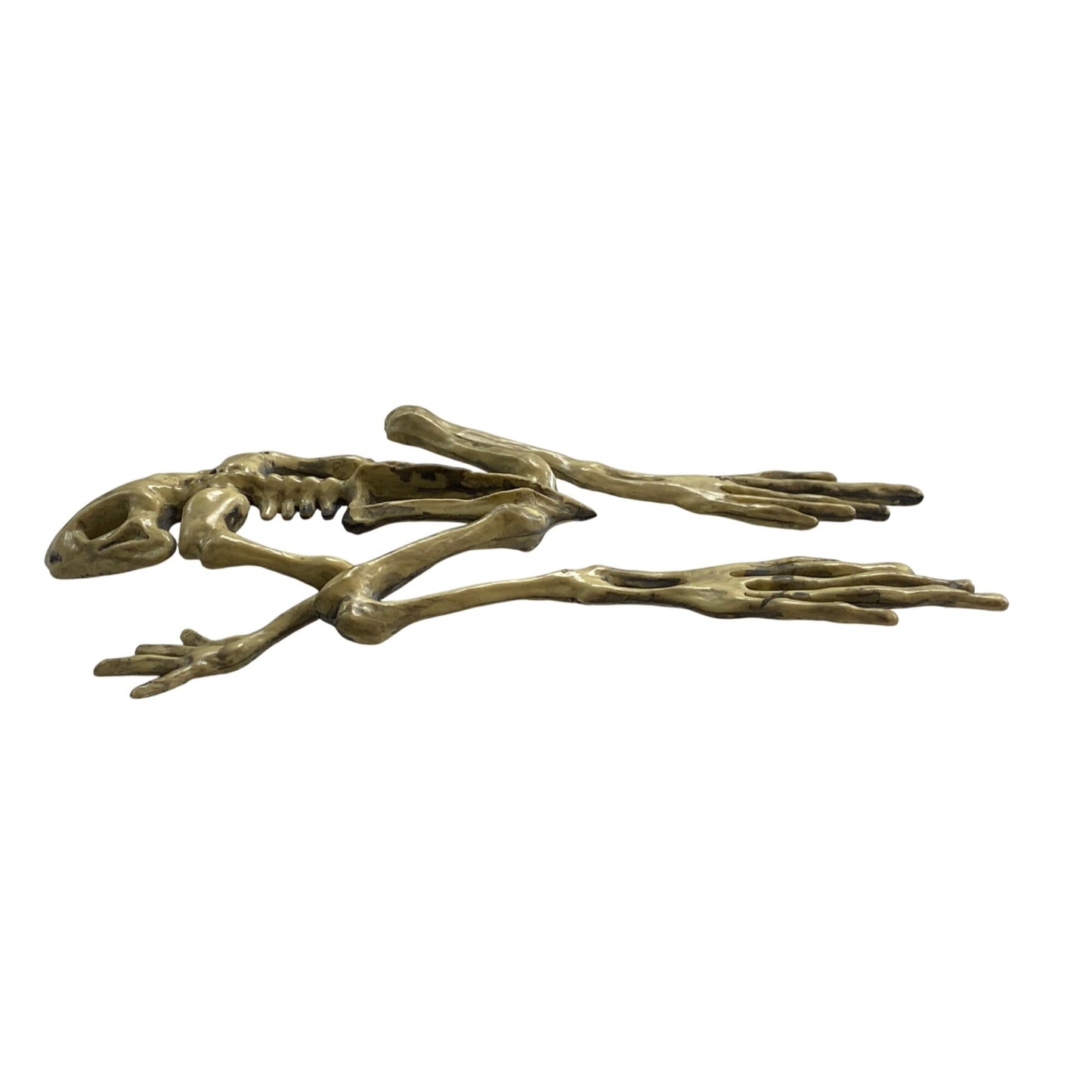 Halloween Frog Skeleton