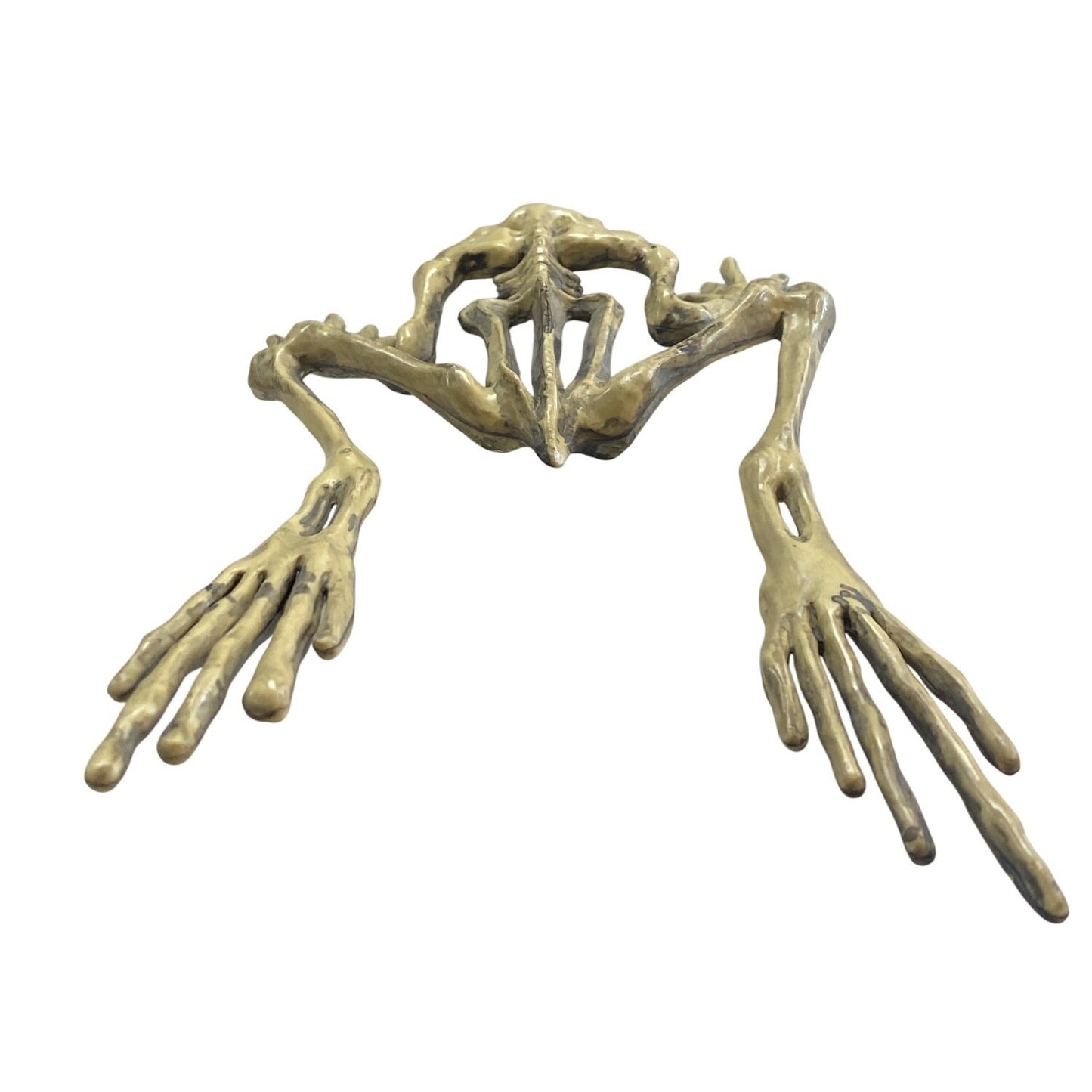 Halloween Frog Skeleton