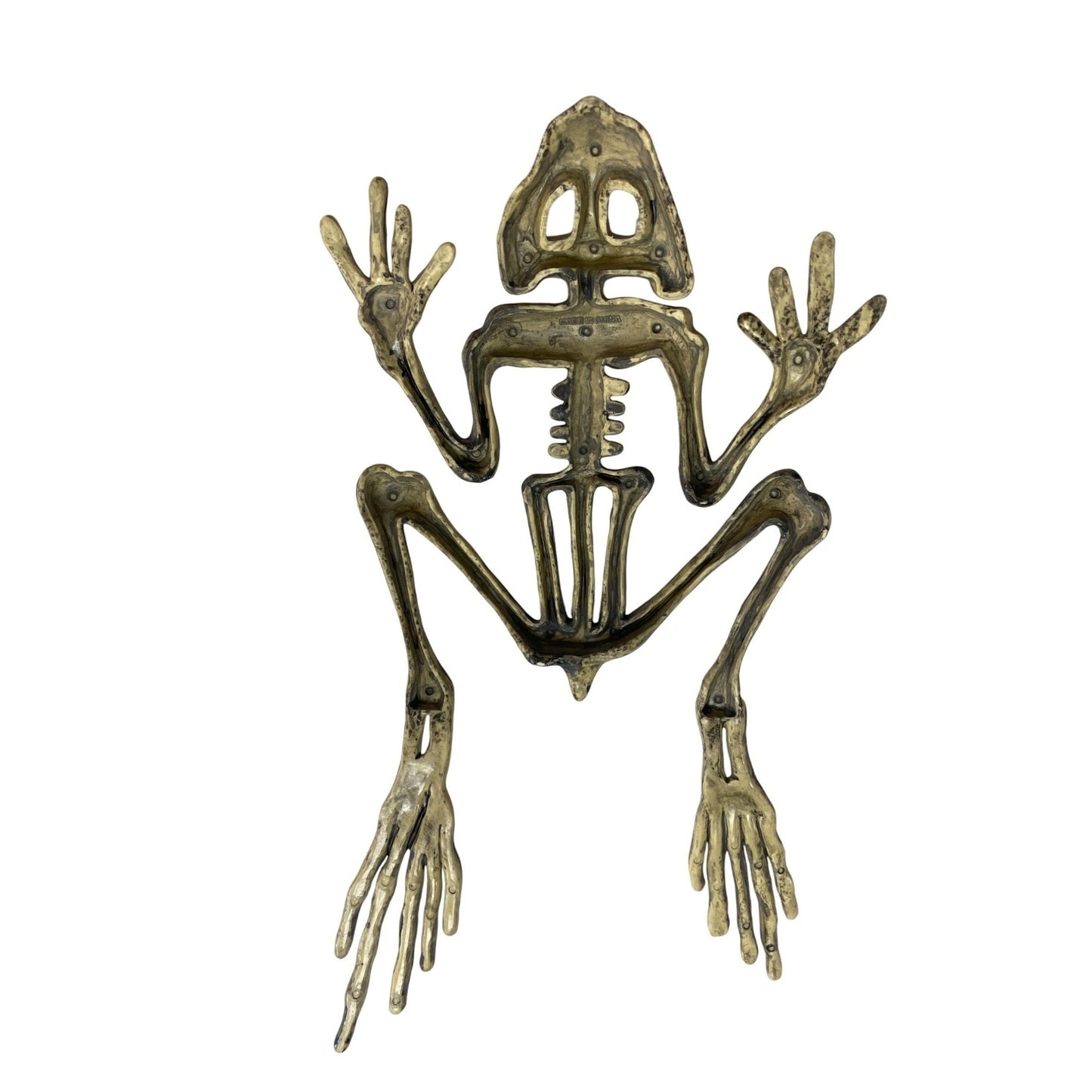 Halloween Frog Skeleton