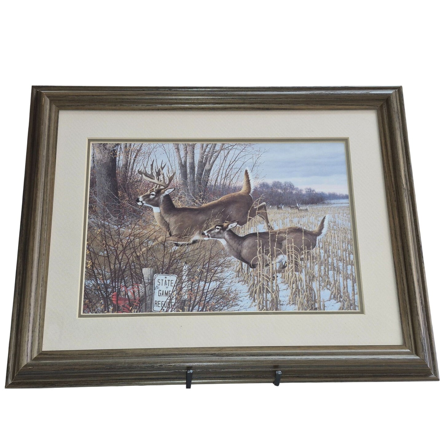 Framed Deer Wildlife Print