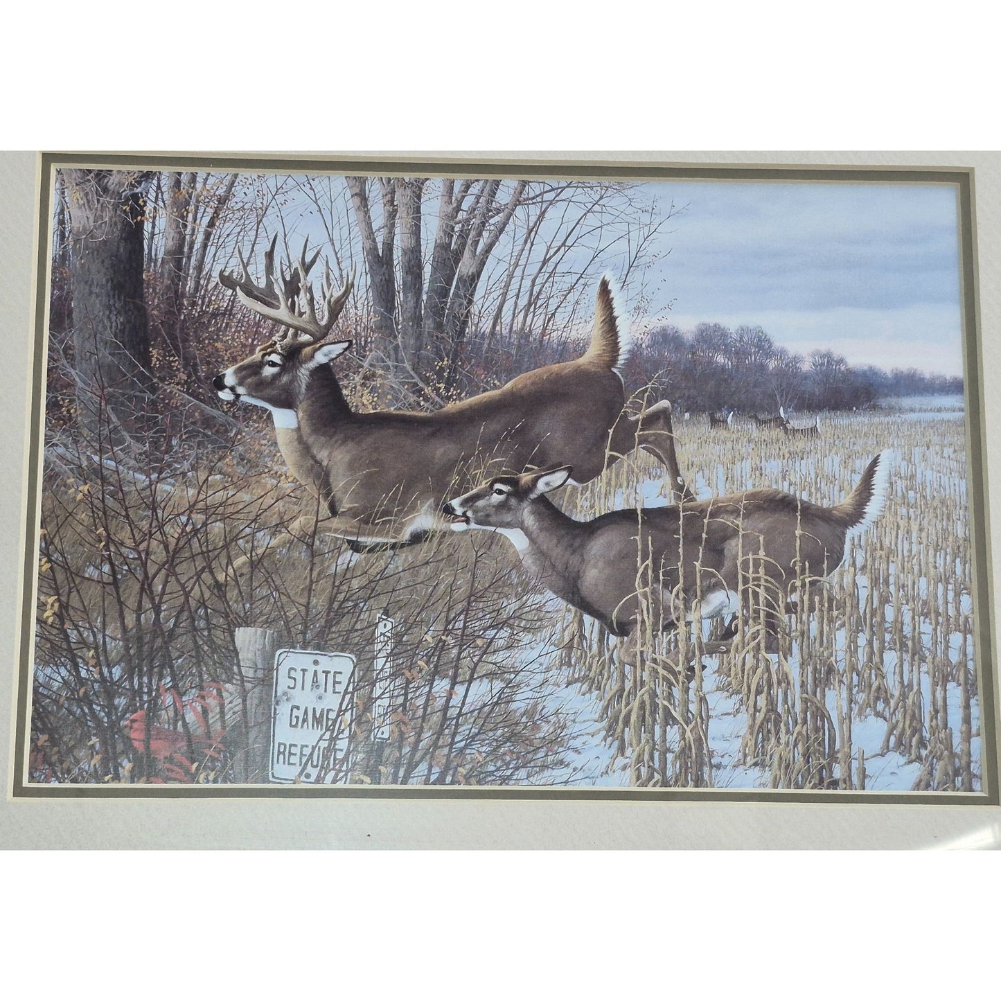 Framed Deer Wildlife Print