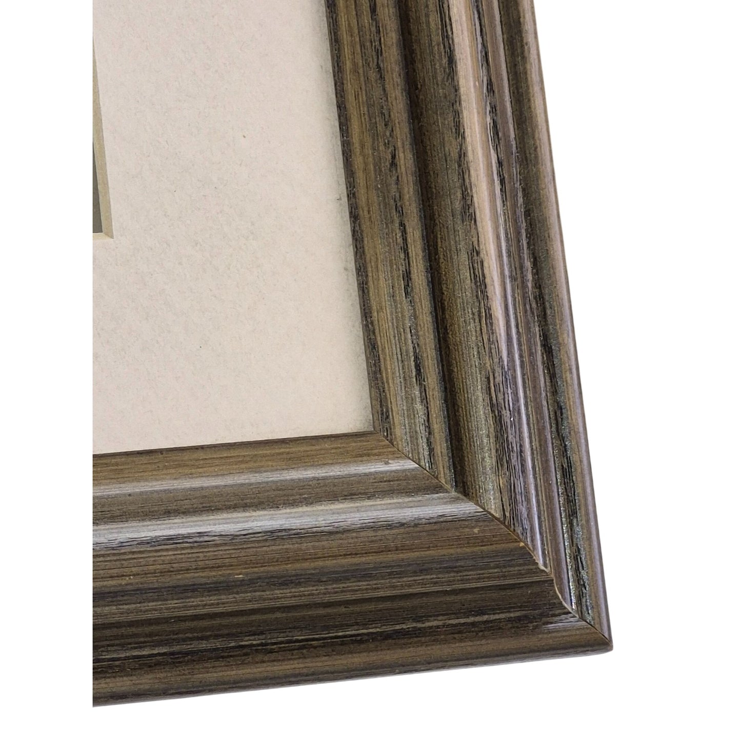 Framed Deer Wildlife Print