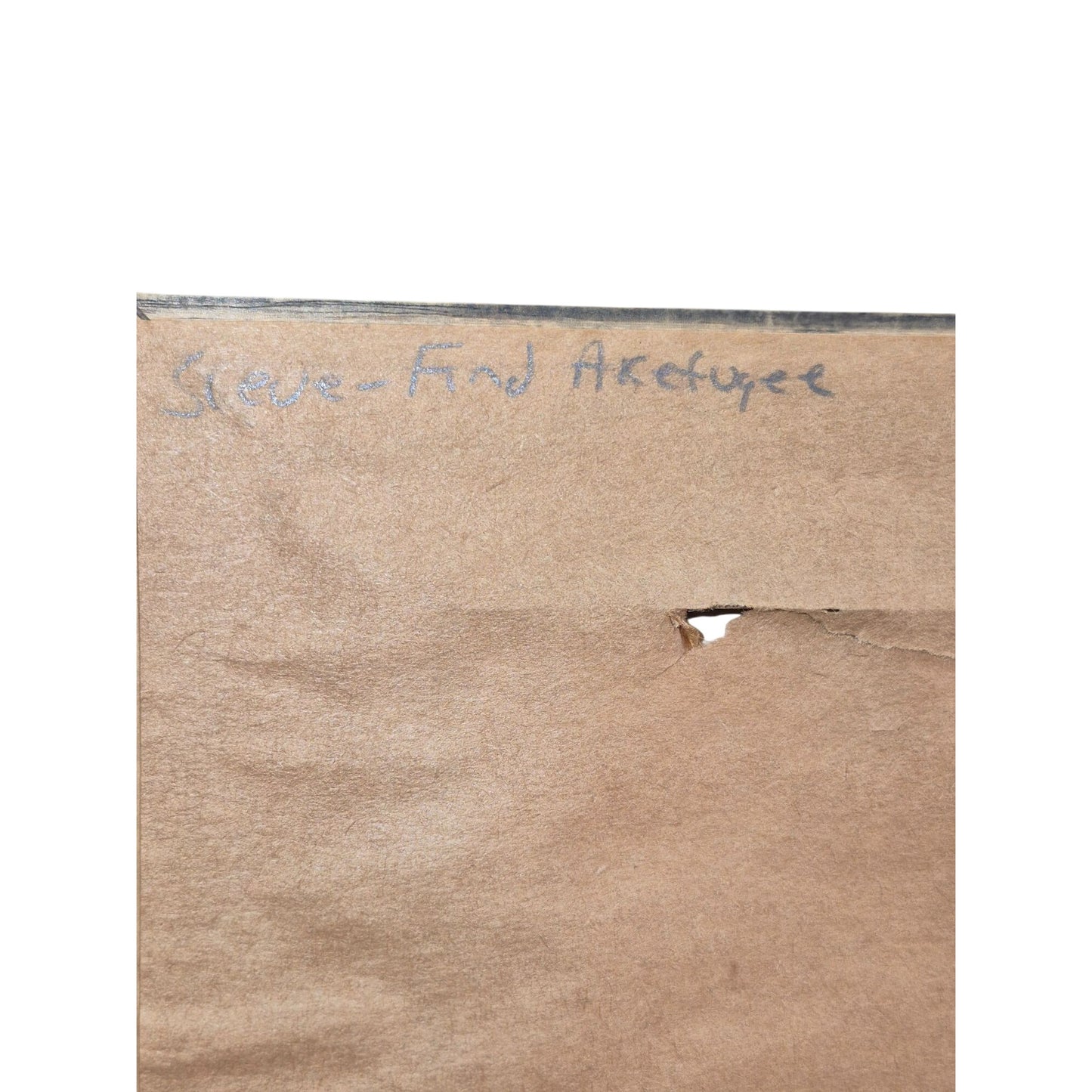 Framed Deer Wildlife Print