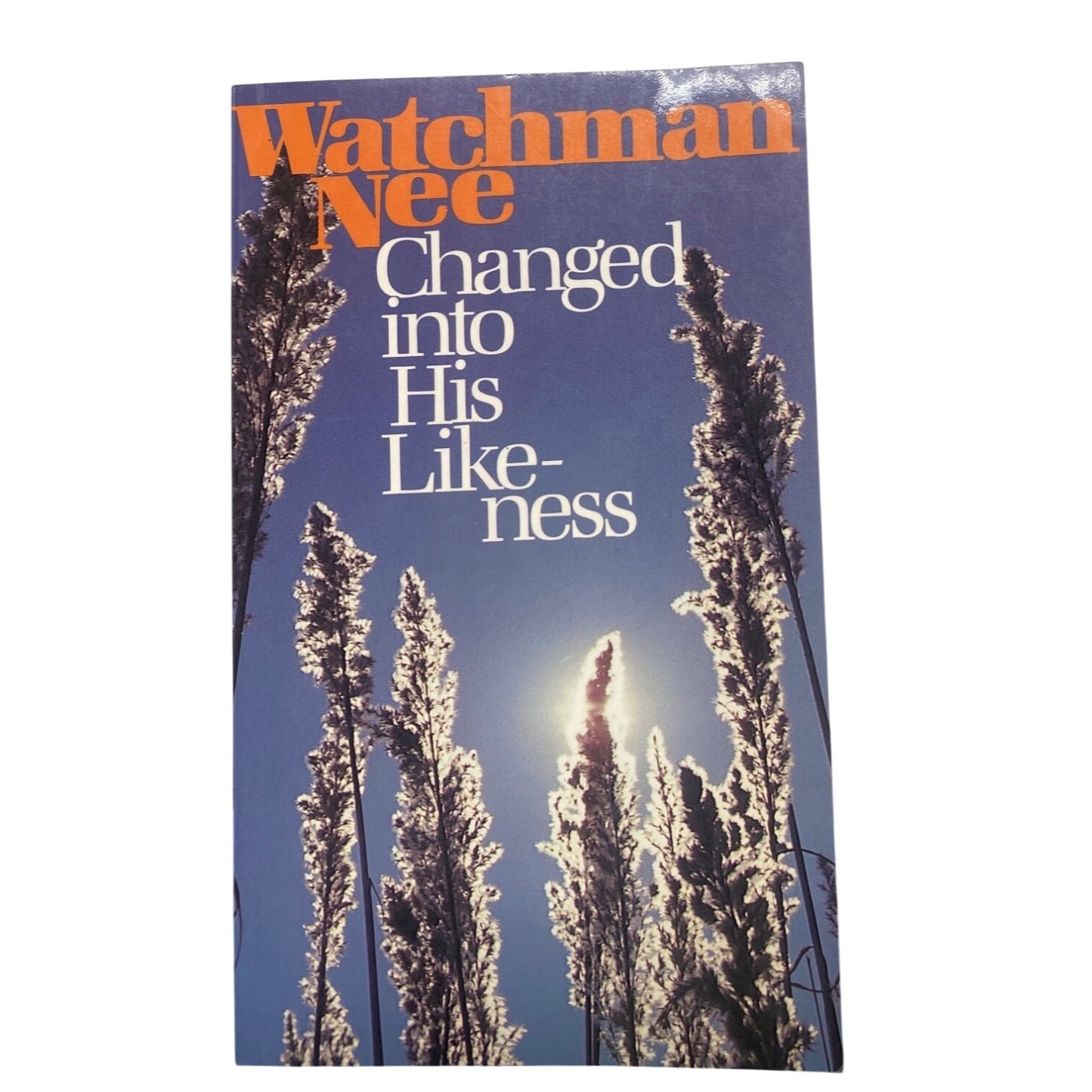 Changed Into His Likeness