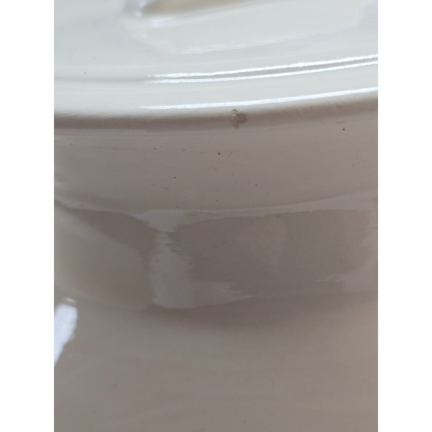 Dairy Farm Cow Milk Can