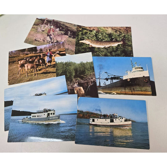 Vintage Michigan Wisconsin Nature & Maritime Postcards Lot Of 8 - Deer Boats & Waterfalls Unused