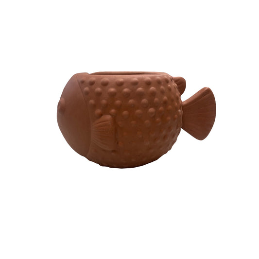 Bath & Bodyworks Terracotta Fish-Shaped Planter With Drainage Holes