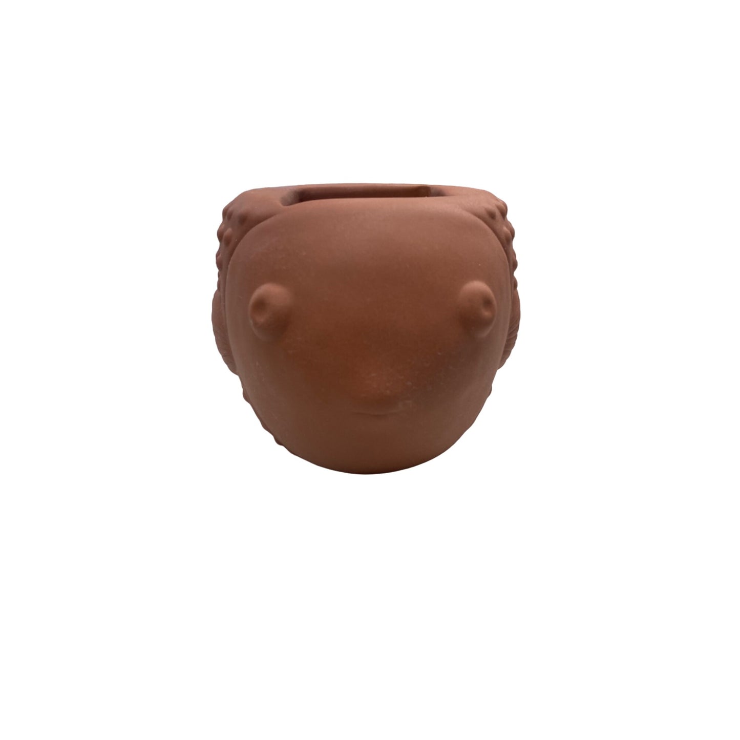Bath & Bodyworks Terracotta Fish-Shaped Planter With Drainage Holes
