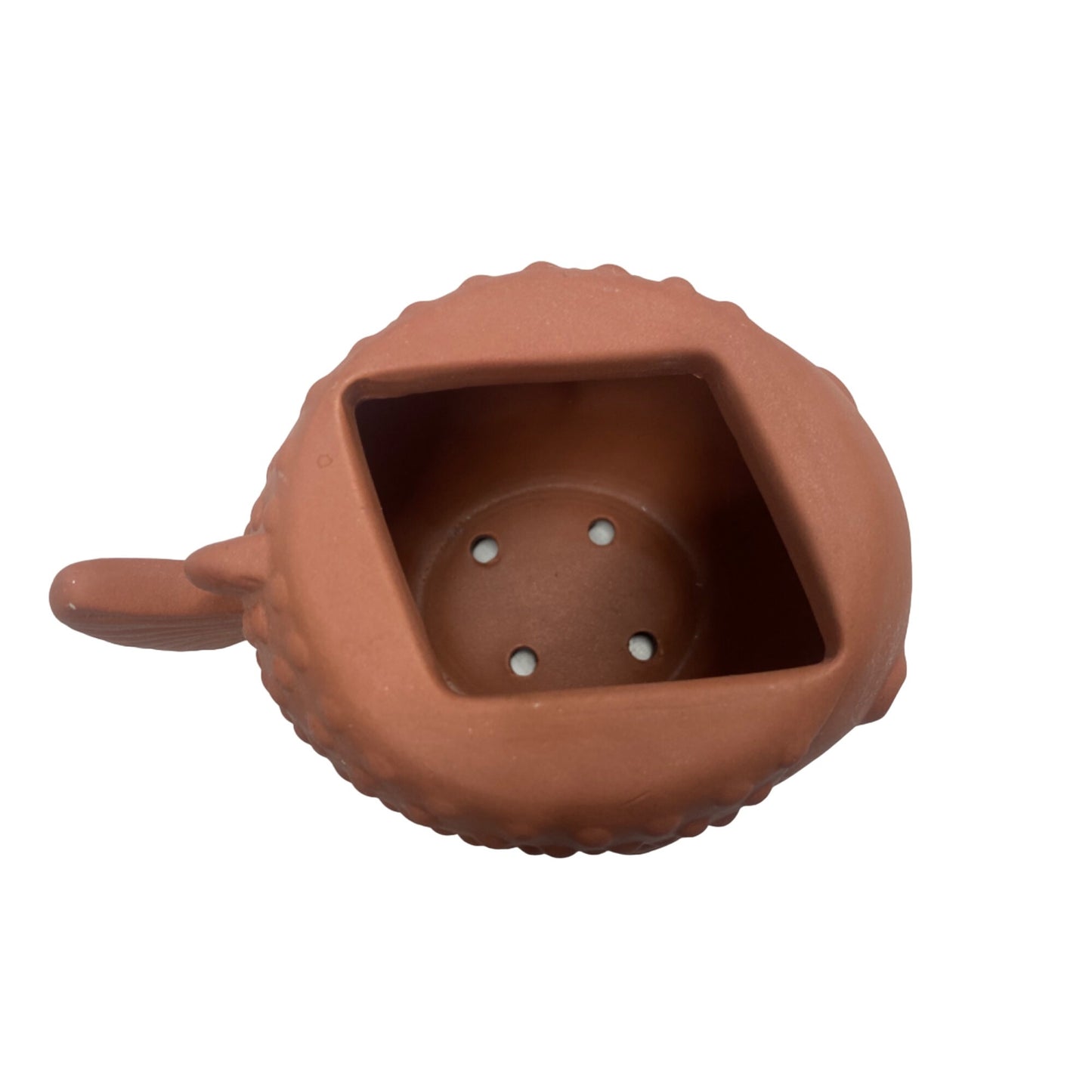 Bath & Bodyworks Terracotta Fish-Shaped Planter With Drainage Holes